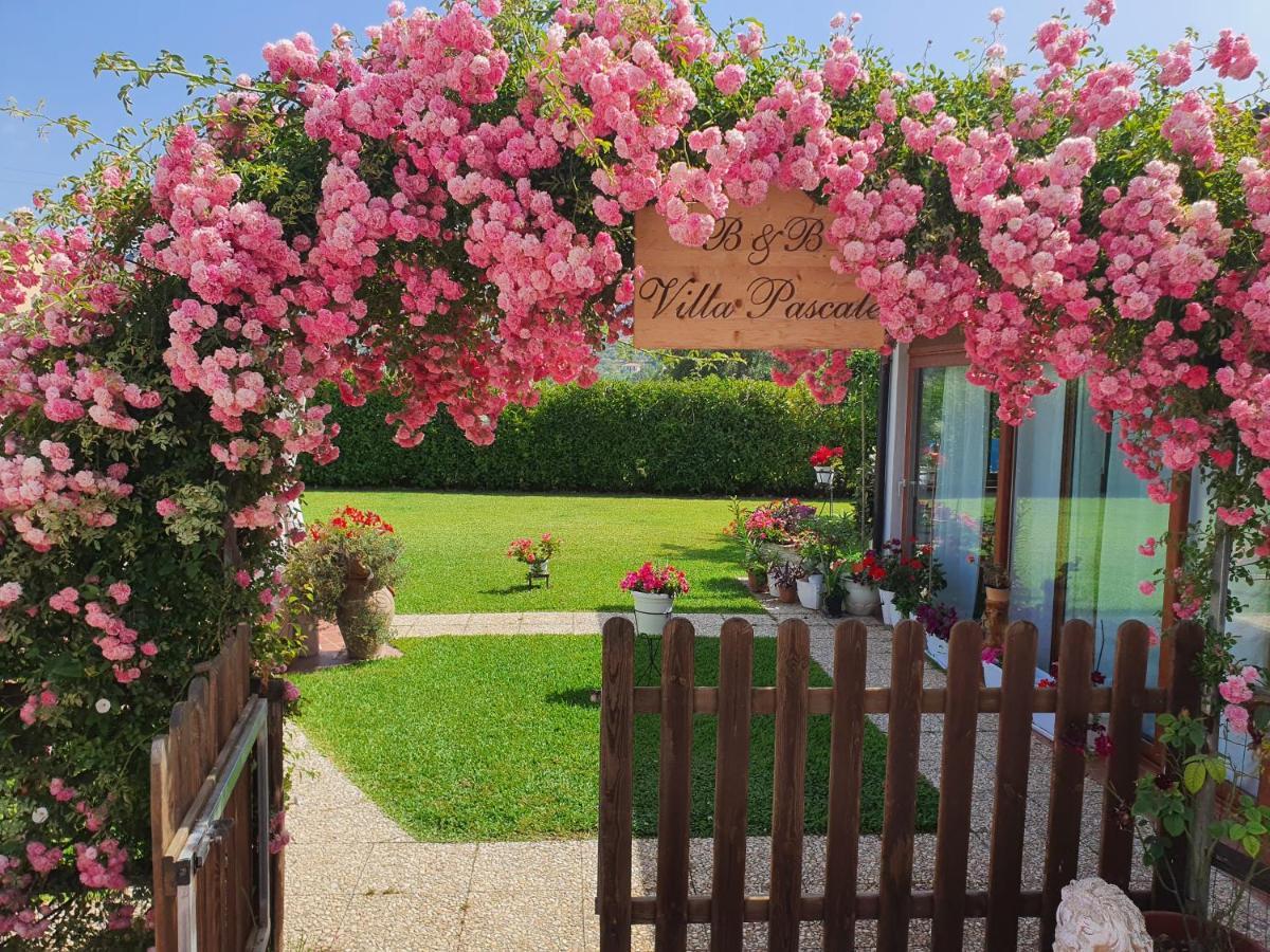 Villa Pascale - B&B - Casa Vacanze Castellabate Esterno foto